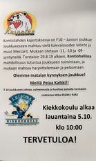 Kaikki Pelaa! 